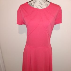 🛍️NWT Alex Marie Designer Stretch Dress with Pockets (L)